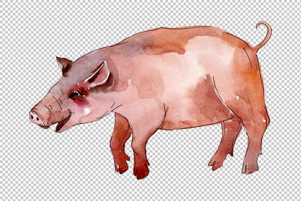 Farm animals: pig (boar) Watercolor png