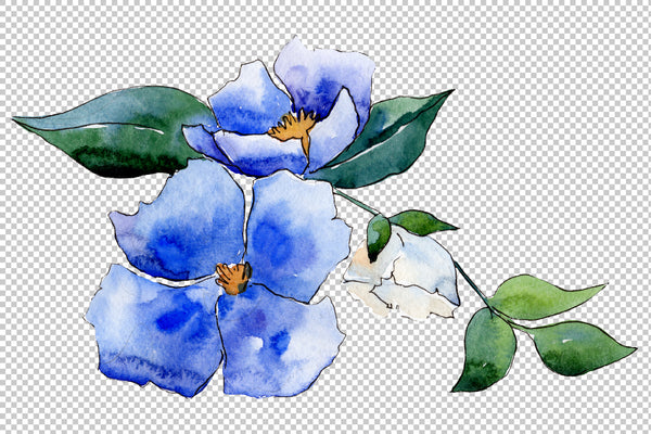 Flower Symphony watercolor png