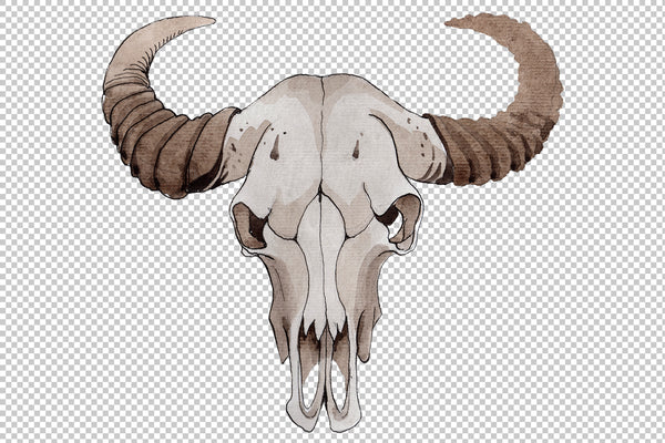 Cow skull watercolor png