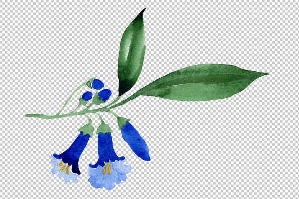 Brugmansia Blue flower Watercolor png