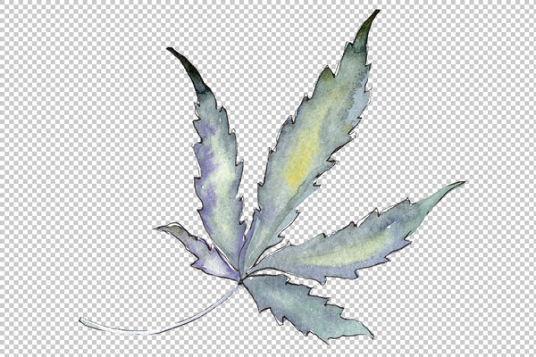 Cannabis Watercolor png