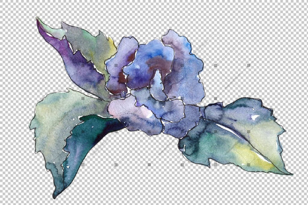 Pink And Blue Gardenia Flowers Png Watercolor Set Flower