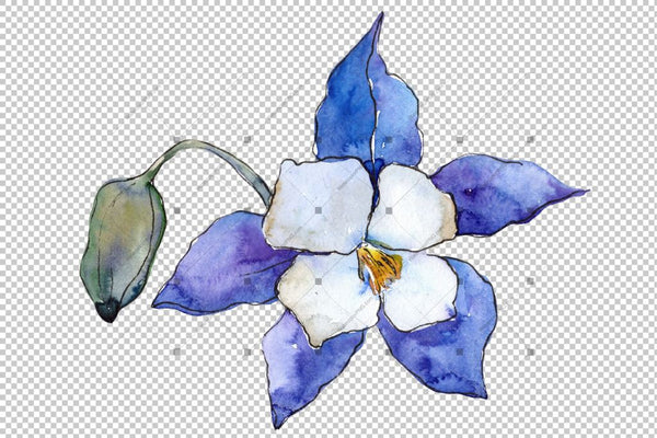 Blue Aquilegia Flower Png Watercolor Set Flower