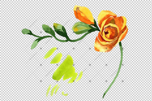 Wildflower Yellow Freesia Png Watercolor Set Flower
