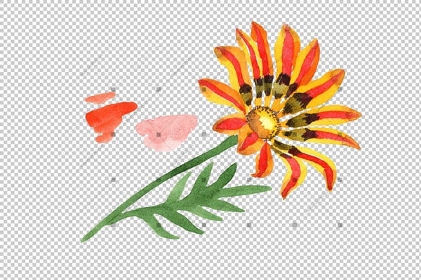 Wildflower Orange Gazania Png Watercolor Set Flower