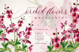 Pink Orchid Flowers Png Watercolor Set Digital