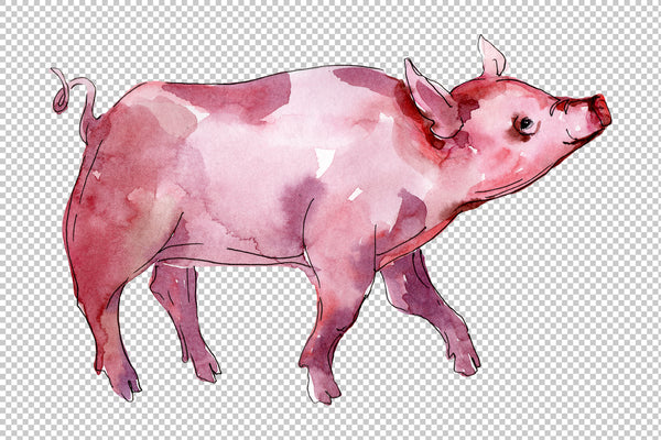 Farm animals: pig (boar) Watercolor png