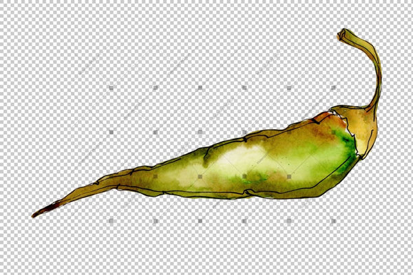 Green And Yellow Pepper Vegetables Png Watercolor Set Digital