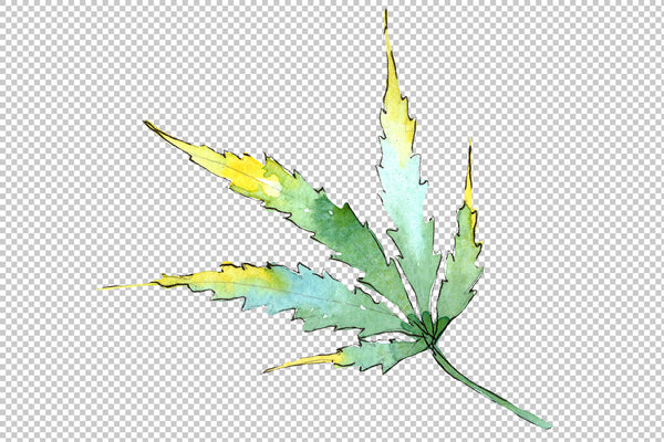Cannabis Watercolor png