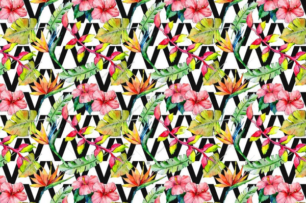 Tropical Leaves Png Watercolor Set Digital