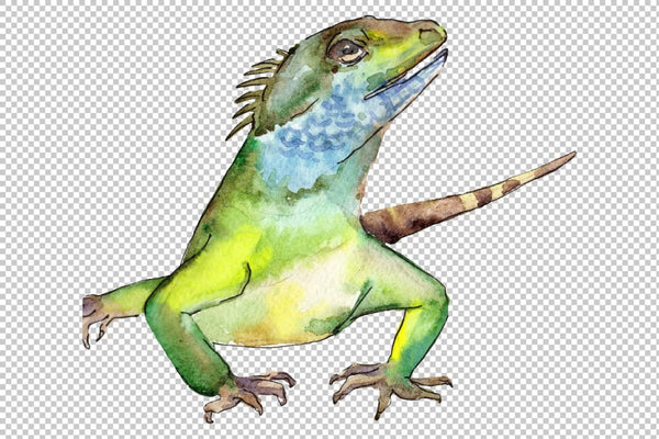 4 iguanas watercolor png Flower