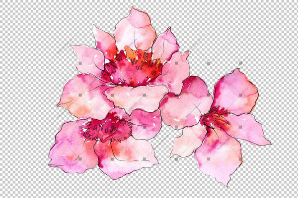 Pink Flower Gardenia Png Watercolor Set Flower