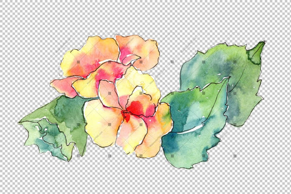 Watercolor Gardenia Wildflower Png Set Flower