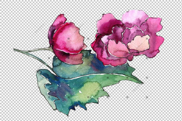 Gardenia Colorful Flower Png Watercolor Set Flower