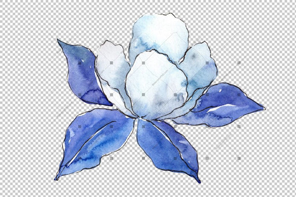 Blue Aquilegia Flower Png Watercolor Set Flower