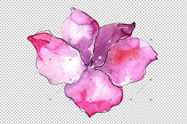 Tropical Pink Gardenia Png Watercolor Flower Set Flower
