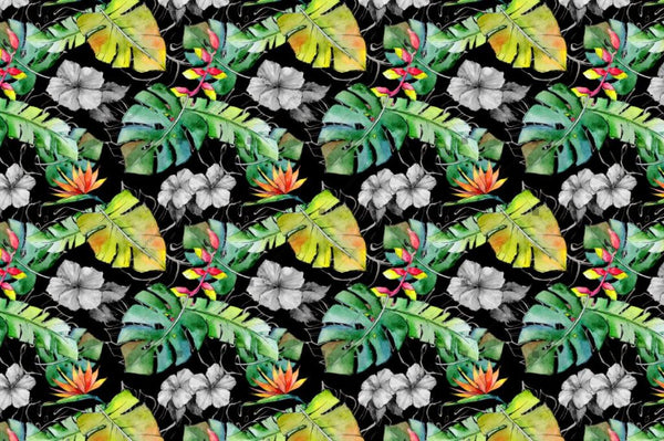 Tropical Leaves Png Watercolor Set Digital