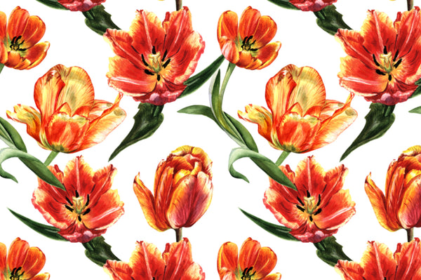 Tulip red PNG watercolor flower set