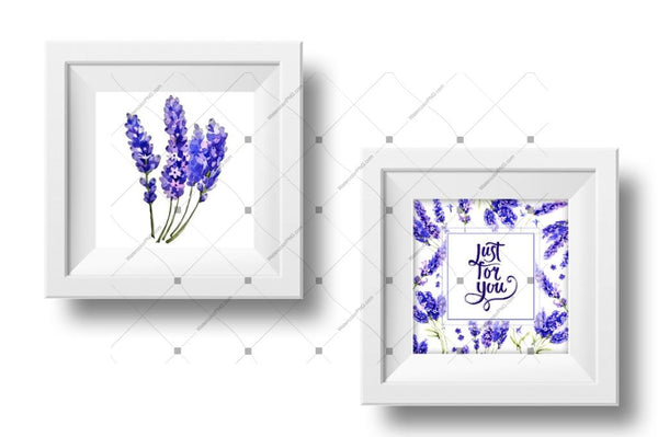 Lavender Png Flowers In Watercolor Digital