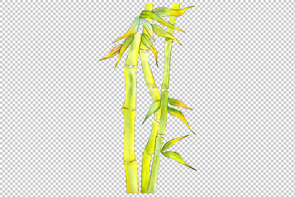 Bamboo watercolor product png