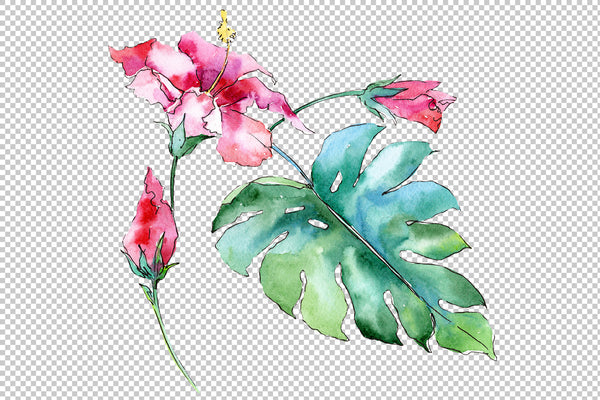 Tropical plants Watercolor png