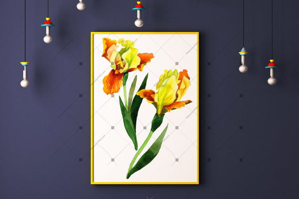 Yellow Irises Watercolor Png Clipart Digital