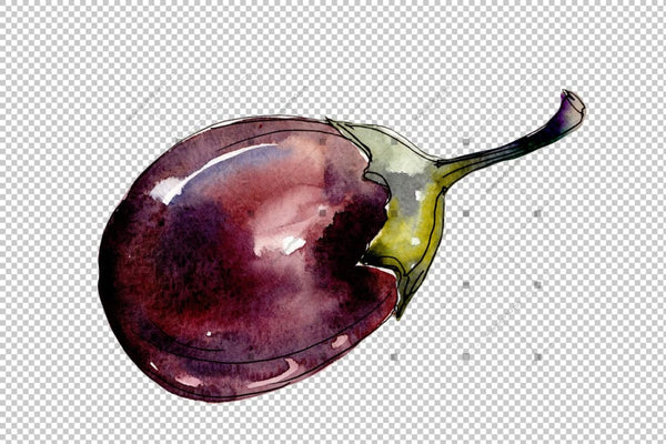 Watercolor Purple Eggplant Vegetable Png Set Digital
