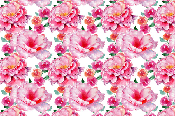 Roses flowers pink PNG watercolor set