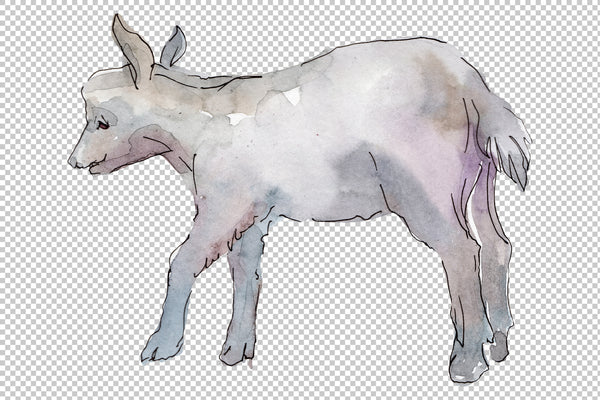 Farm animals: goat Watercolor png