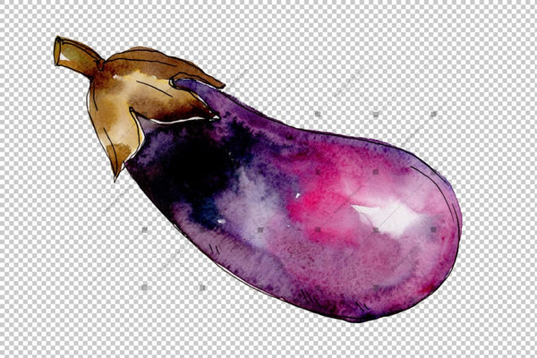 Purple Eggplant Vegetables Png Watercolor Set Digital