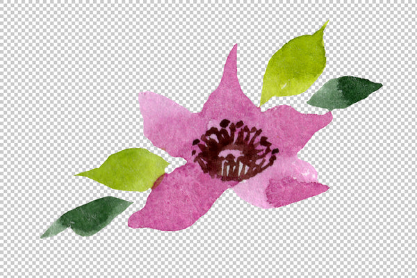 Bouquet with peonies Fiesta watercolor png