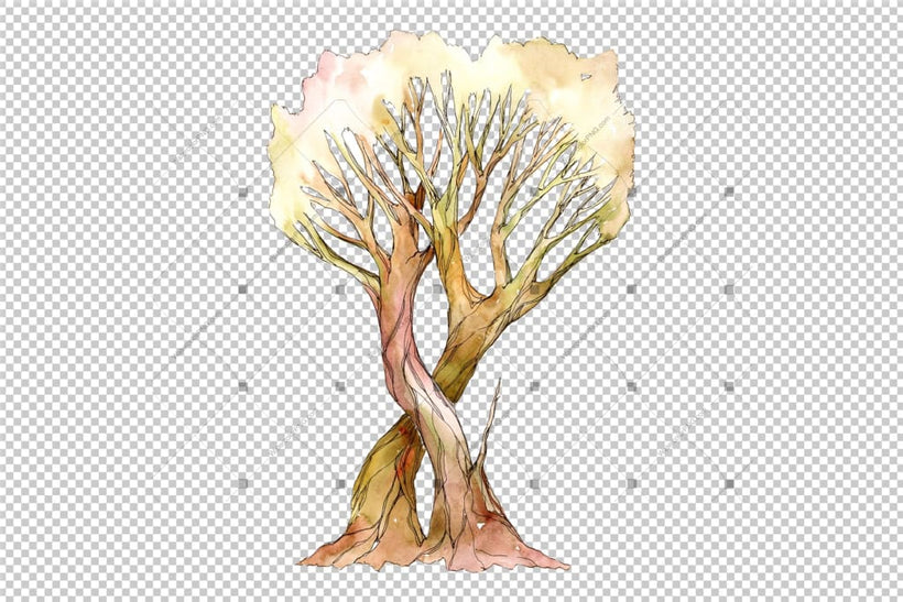 Watercolor Tree royalty free images