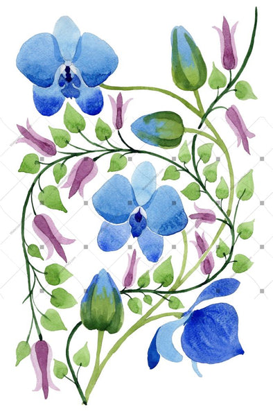 Ornament Of Blue Flowers Png Watercolor Set Flower