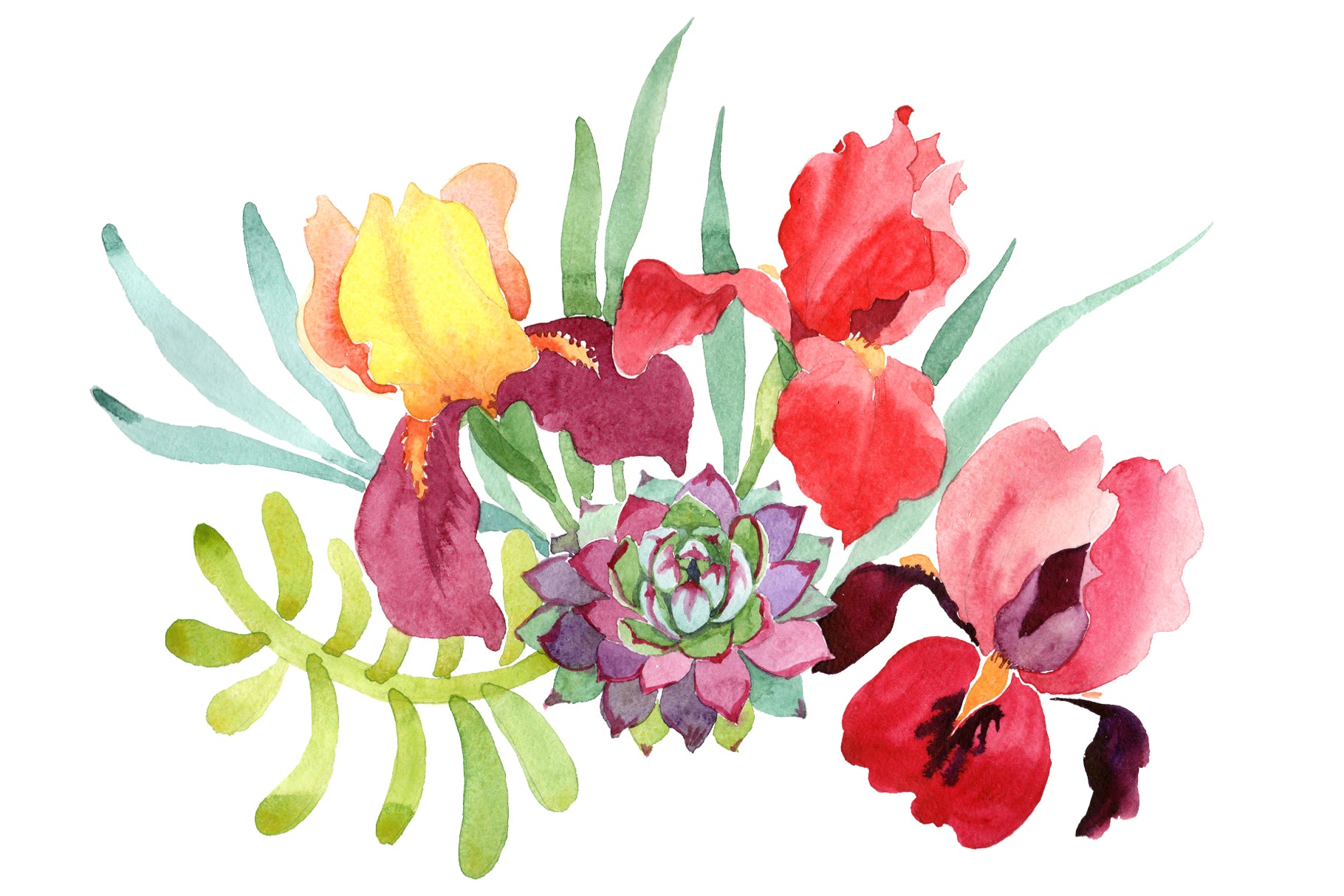 Bouquet with red irises watercolor PNG