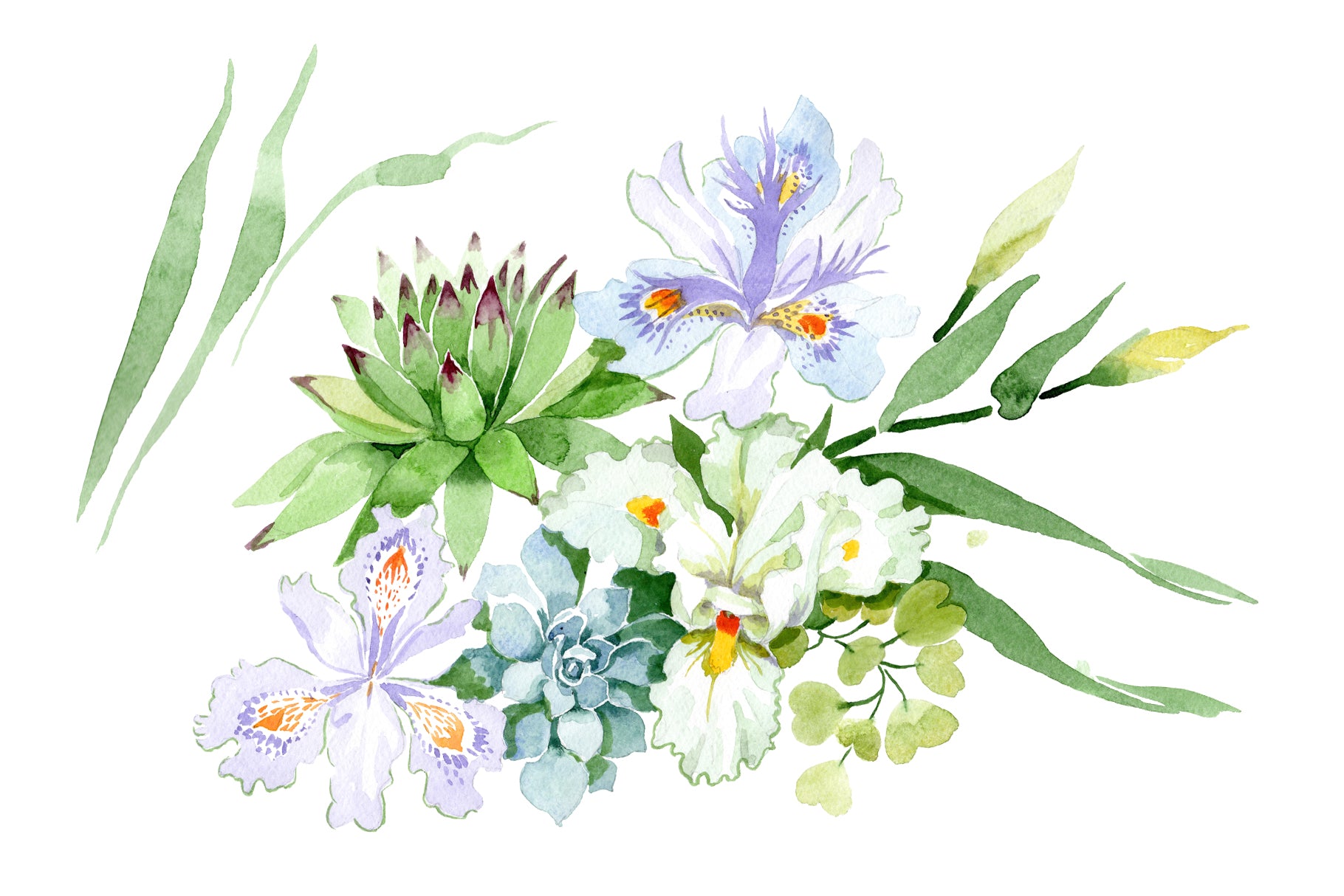 Bouquet with white irises watercolor PNG
