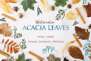 Acacia leaves Watercolor png Digital