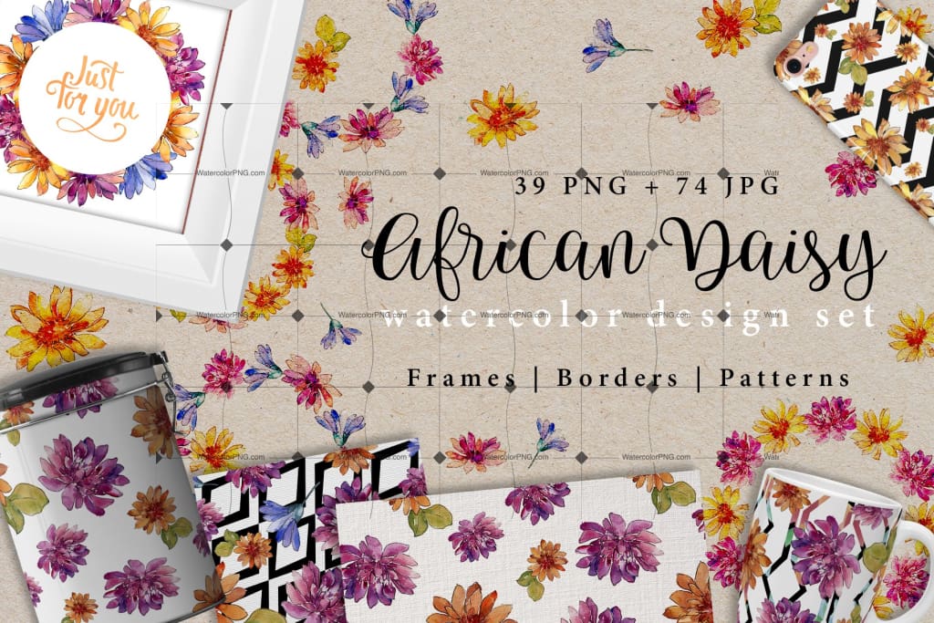 African Daisy Png Watercolor Desing Set Digital