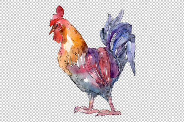 Agriculture: cock hen Watercolor png Flower