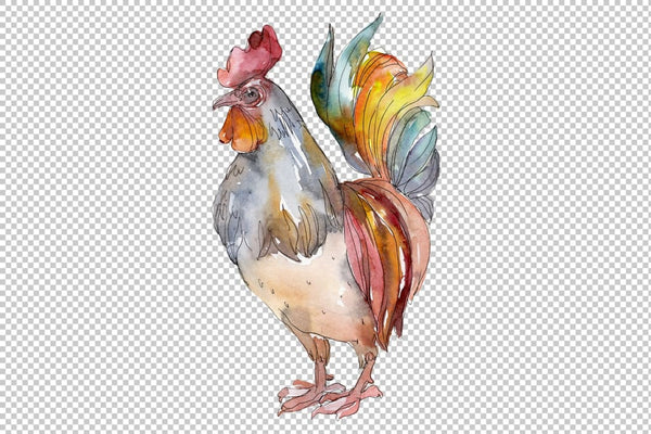 Agriculture: cock hen Watercolor png Flower
