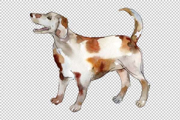 Agriculture: domestic pets-cat dog Watercolor png