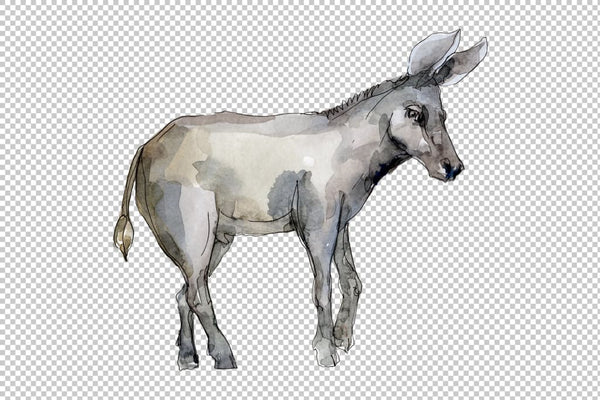 Agriculture: donkey Watercolor png Flower