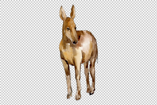 Agriculture: donkey Watercolor png Flower