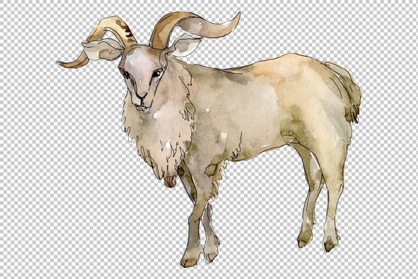 Agriculture: goat Watercolor png Flower