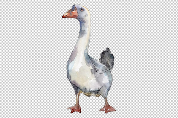 Agriculture: goose duck Watercolor png Flower