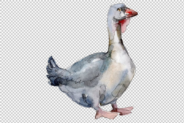 Agriculture: goose duck Watercolor png Flower