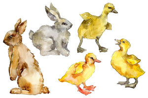 Agriculture: Rabbit ducklings Watercolor png Flower