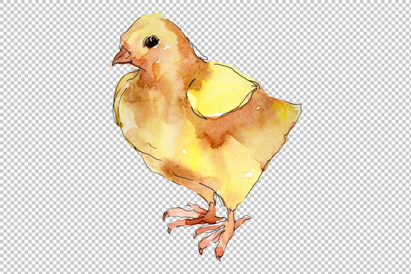 Agriculture: Turkey chicken Watercolor png Flower