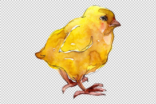 Agriculture: Turkey chicken Watercolor png Flower