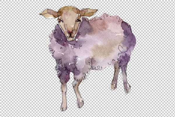 Agriculture:sheep ram Watercolor png Flower