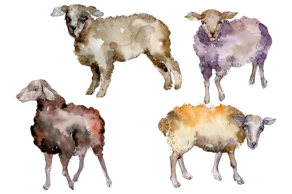 Agriculture:sheep ram Watercolor png Flower